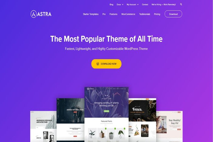 astra theme for WooCommerce