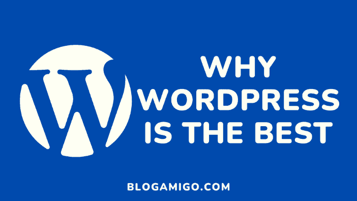 Why wordpress is the best - Blogamigo