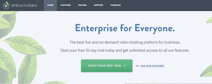 Sproutvideo Homepage