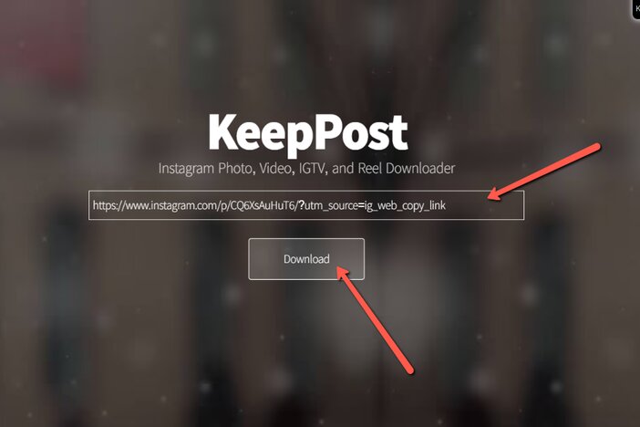 4. Paste the video URL and click on download blogamigo