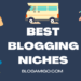 Best Blogging Niches - Blogamigo